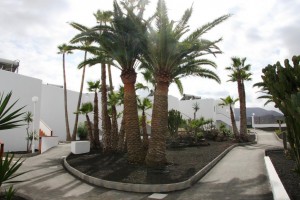 3-2-6 reconstruccion hotel 31